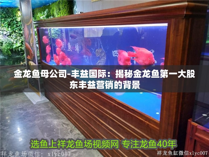 金龍魚母公司-豐益國際：揭秘金龍魚第一大股東豐益營銷的背景