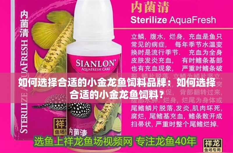 如何選擇合適的小金龍魚飼料品牌：如何選擇合適的小金龍魚飼料？