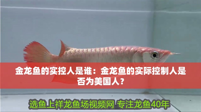 金龍魚的實(shí)控人是誰：金龍魚的實(shí)際控制人是否為美國人？