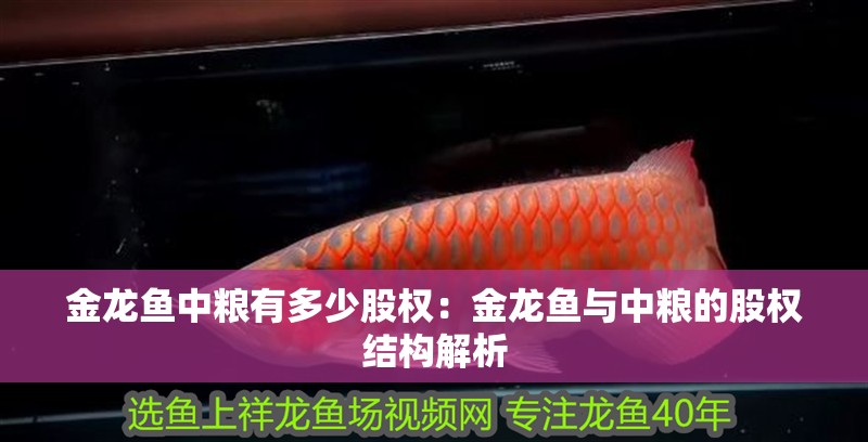 金龍魚中糧有多少股權：金龍魚與中糧的股權結構解析