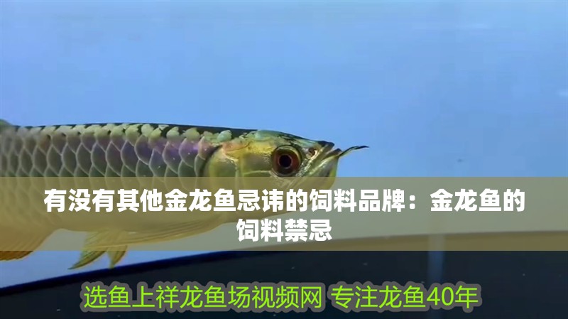 有沒有其他金龍魚忌諱的飼料品牌：金龍魚的飼料禁忌