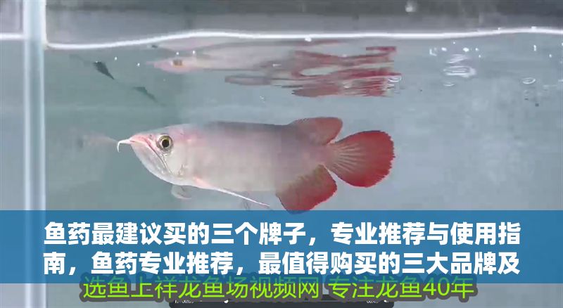 魚藥最建議買的三個牌子,專業推薦與使用指南,魚藥專業推薦,最值得購買的三大品牌及使用指南 龍魚常見疾病 第2張 魚藥最建議買的三個牌子,專業推薦與使用指南,魚藥專業推薦,最值得購買的三大品牌及使用指南 魚藥最建議買的三個牌子,專業推薦與使用指南,魚藥專業推薦,最值得購買的三大品牌及使用指南 龍魚常見疾病 第2張