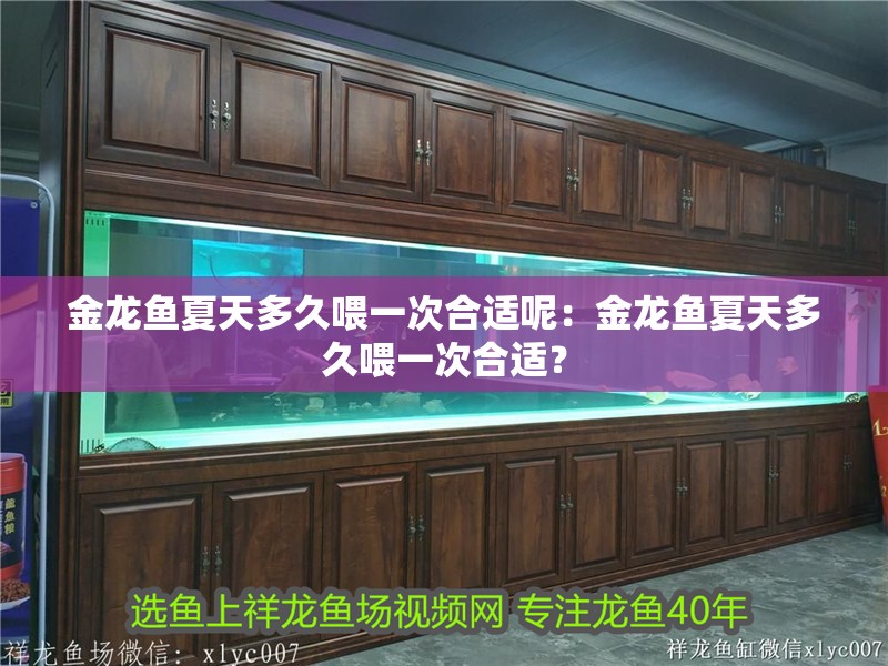 金龍魚夏天多久喂一次合適呢：金龍魚夏天多久喂一次合適？