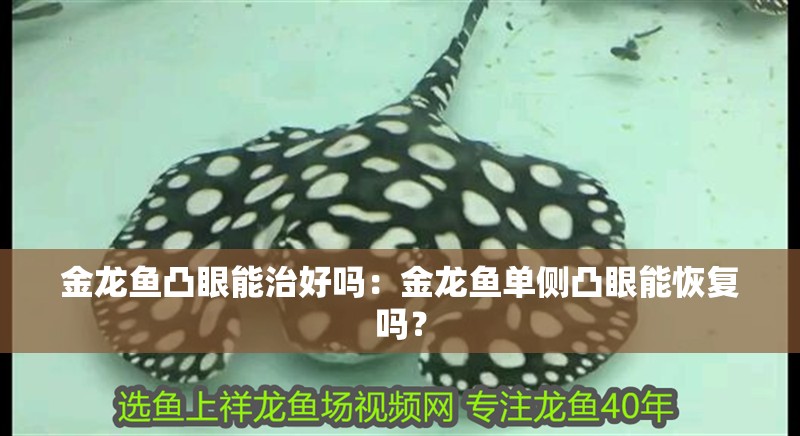 金龍魚凸眼能治好嗎：金龍魚單側凸眼能恢復嗎？