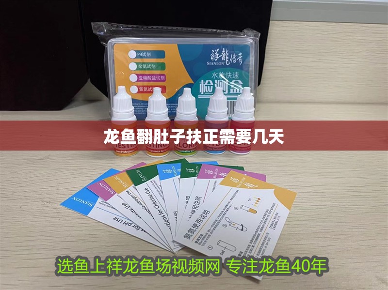 龍魚翻肚子扶正需要幾天