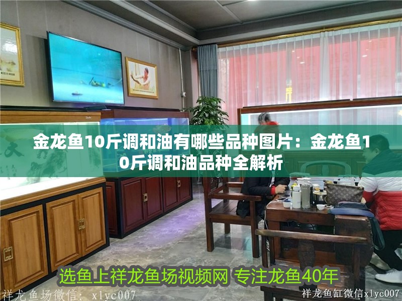 金龍魚為啥叫金龍魚：金龍魚為什么被稱為“金龍魚”