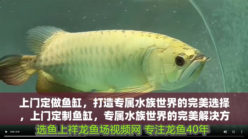 上門定做魚缸，打造專屬水族世界的完美選擇，上門定制魚缸，專屬水族世界的完美解決方案