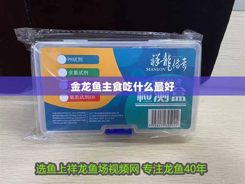 金龍魚主食吃什么最好