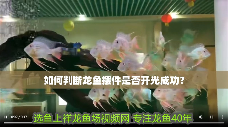 如何判斷龍魚擺件是否開光成功？ 如何判斷龍魚擺件是否開光成功？ 龍魚百科