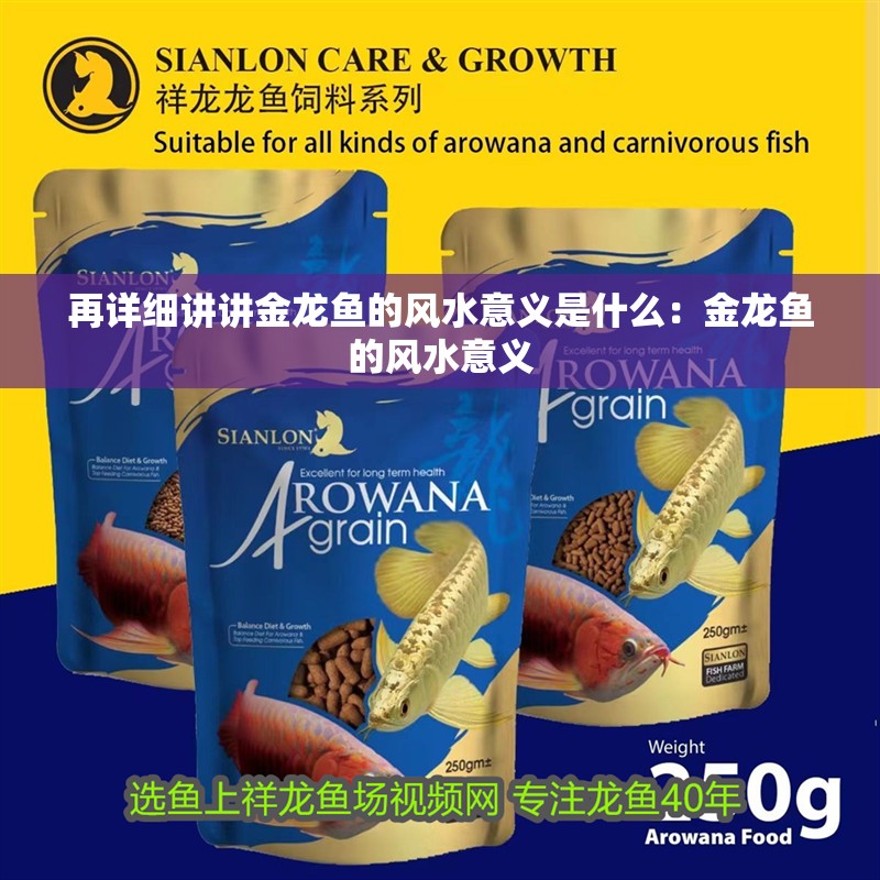 再詳細講講金龍魚的風水意義是什么：金龍魚的風水意義