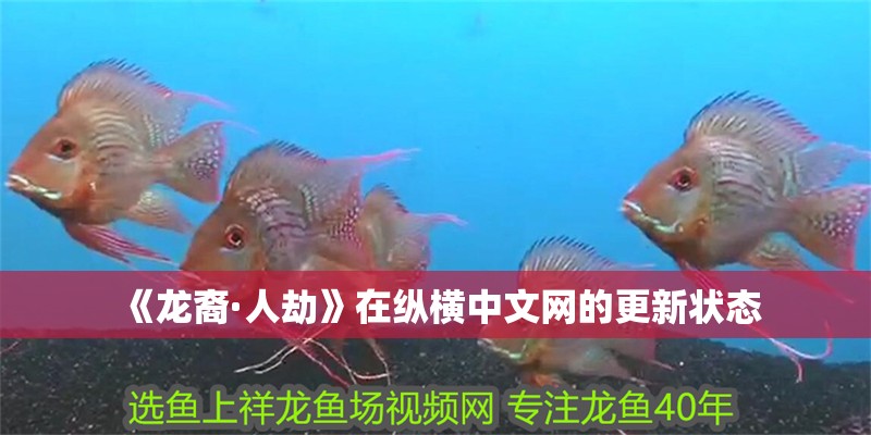 魚(yú)缸過(guò)濾器選購(gòu)指南:自制魚(yú)缸過(guò)濾器魚(yú)缸上置過(guò)濾器對(duì)于養(yǎng)魚(yú)愛(ài)好者的必備知識(shí) 《龍裔·人劫》在縱橫中文網(wǎng)的更新?tīng)顟B(tài) 龍魚(yú)百科 《龍裔·人劫》在縱橫中文網(wǎng)的更新?tīng)顟B(tài) 《龍裔·人劫》在縱橫中文網(wǎng)的更新?tīng)顟B(tài) 龍魚(yú)百科