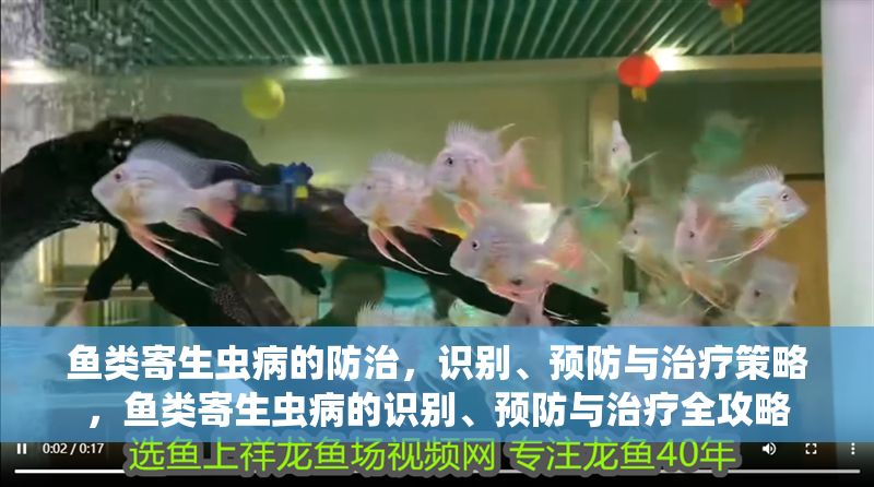 魚類寄生蟲病的防治,識別、預防與治療策略,魚類寄生蟲病的識別、預防與治療全攻略 龍魚常見疾病 第1張 魚類寄生蟲病的防治,識別、預防與治療策略,魚類寄生蟲病的識別、預防與治療全攻略 魚類寄生蟲病的防治,識別、預防與治療策略,魚類寄生蟲病的識別、預防與治療全攻略 龍魚常見疾病 第1張