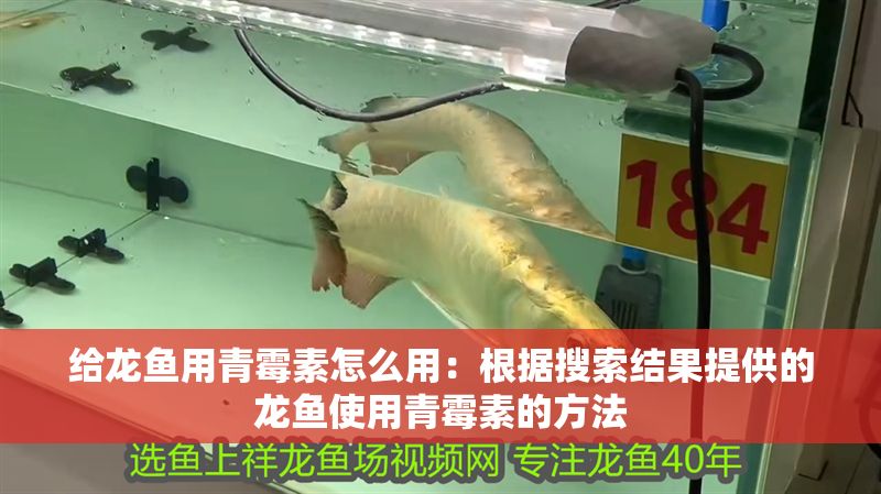 給龍魚用青霉素怎么用：根據(jù)搜索結(jié)果提供的龍魚使用青霉素的方法
