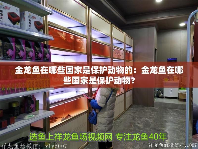 金龍魚在哪些國家是保護動物的：金龍魚在哪些國家是保護動物？