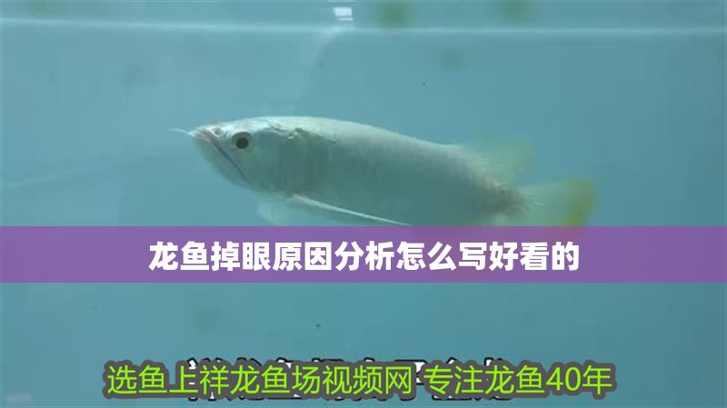龍魚(yú)掉眼原因分析怎么寫(xiě)好看的 龍魚(yú)百科 第2張 龍魚(yú)掉眼原因分析怎么寫(xiě)好看的 龍魚(yú)掉眼原因分析怎么寫(xiě)好看的 龍魚(yú)百科 第2張
