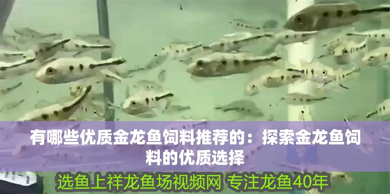 有哪些優質金龍魚飼料推薦的：探索金龍魚飼料的優質選擇