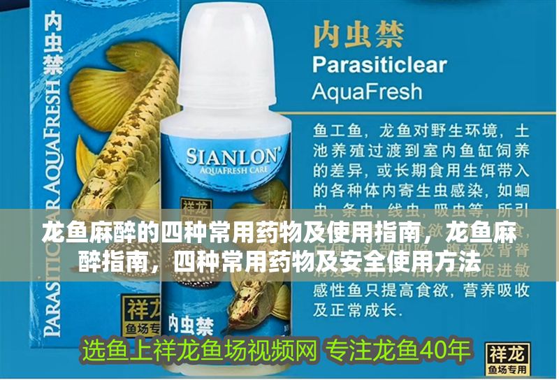 龍魚麻醉的四種常用藥物及使用指南，龍魚麻醉指南，四種常用藥物及安全使用方法