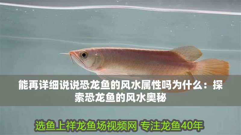 能再詳細說說恐龍魚的風水屬性嗎為什么：探索恐龍魚的風水奧秘