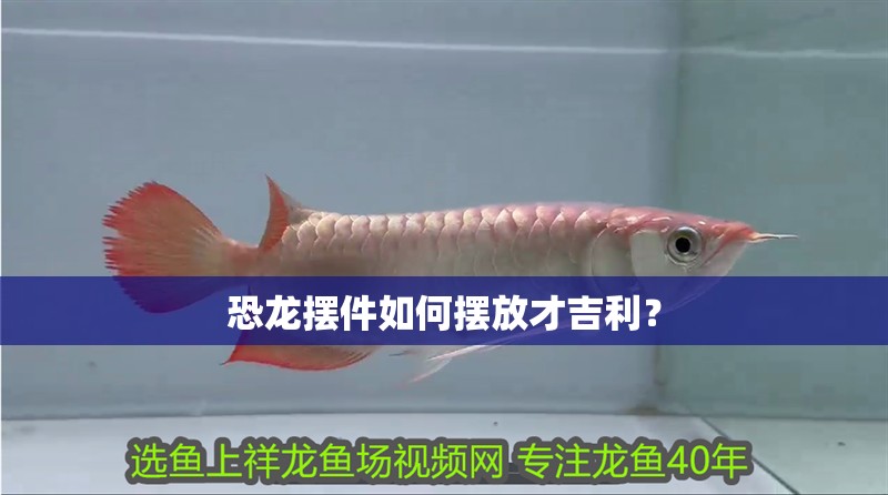 恐龍擺件如何擺放才<strong><mark>吉利</mark></strong>？