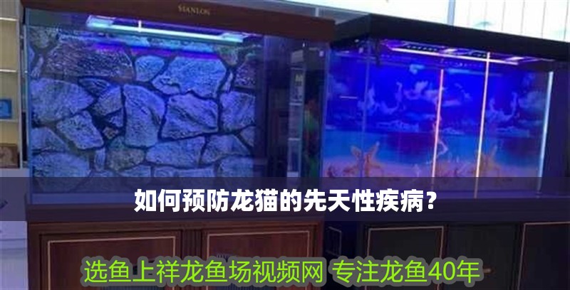 如何預(yù)防龍貓的先天性疾病？