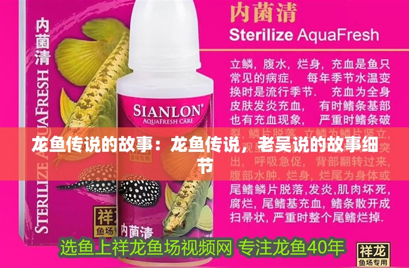 龍魚傳說的故事：龍魚傳說，老吳說的故事細(xì)節(jié)