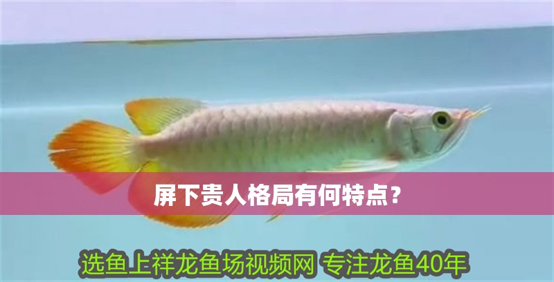 屏下貴人格局有何特點？ 屏下貴人格局有何特點？ 龍魚百科