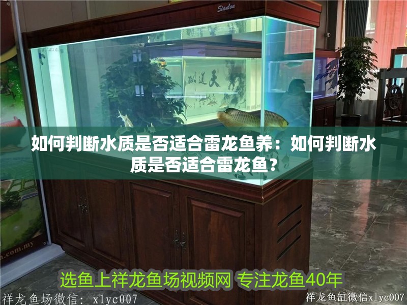 如何判斷水質(zhì)是否適合雷龍魚養(yǎng)：如何判斷水質(zhì)是否適合雷龍魚？
