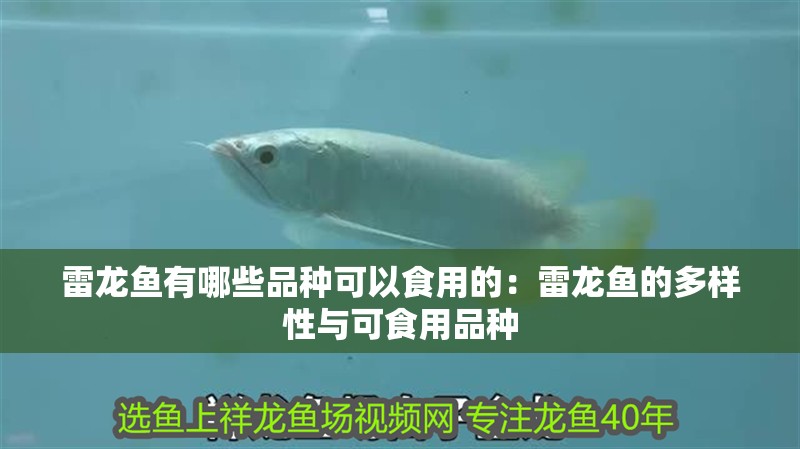 雷龍魚有哪些品種可以食用的：雷龍魚的多樣性與可食用品種