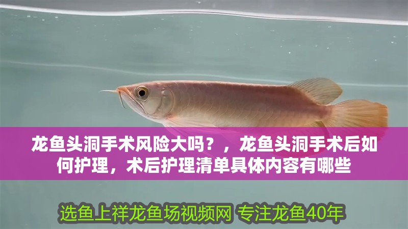 魚缸用增氧泵價格是多少:魚缸增氧機-xtrac增氧機-xtrac增氧機 龍魚頭洞手術風險大嗎?,龍魚頭洞手術后如何護理,術后護理清單具體內容有哪些 龍魚百科 龍魚頭洞手術風險大嗎?,龍魚頭洞手術后如何護理,術后護理清單具體內容有哪些 龍魚頭洞手術風險大嗎?,龍魚頭洞手術后如何護理,術后護理清單具體內容有哪些 龍魚百科