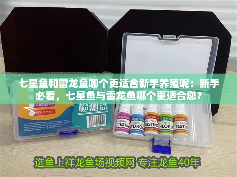 七星魚和雷龍魚哪個更適合新手養殖呢：新手必看，七星魚與雷龍魚哪個更適合您？