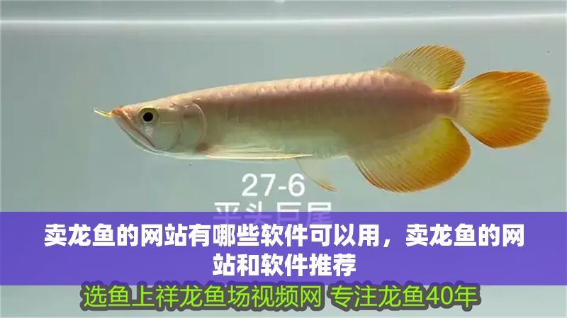 賣龍魚的網(wǎng)站有哪些軟件可以用，賣龍魚的網(wǎng)站和軟件推薦