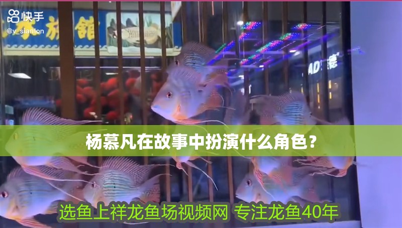 楊慕凡在故事中扮演什么角色？
