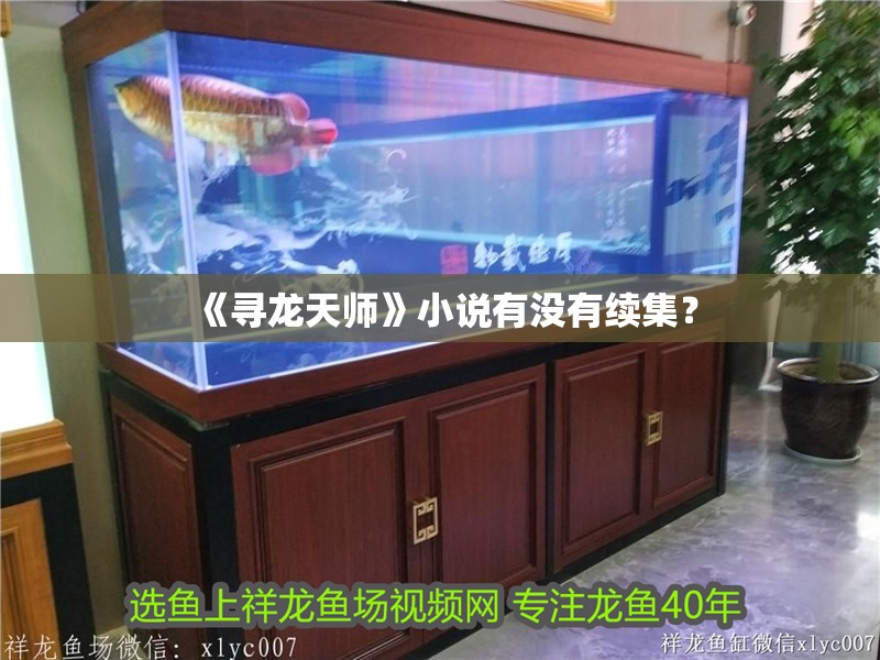 《尋龍天師》小說有沒有續集？
