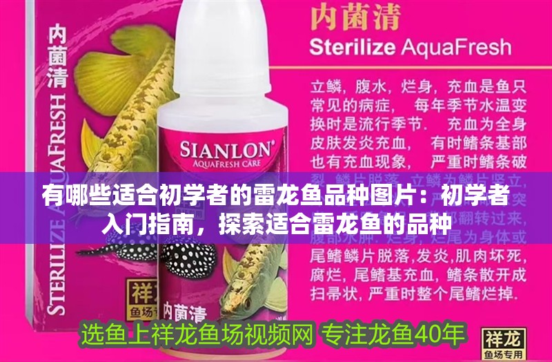 有哪些適合初學者的雷龍魚品種圖片：初學者入門指南，探索適合雷龍魚的品種 有哪些適合初學者的雷龍魚品種圖片：初學者入門指南，探索適合雷龍魚的品種 水族問答