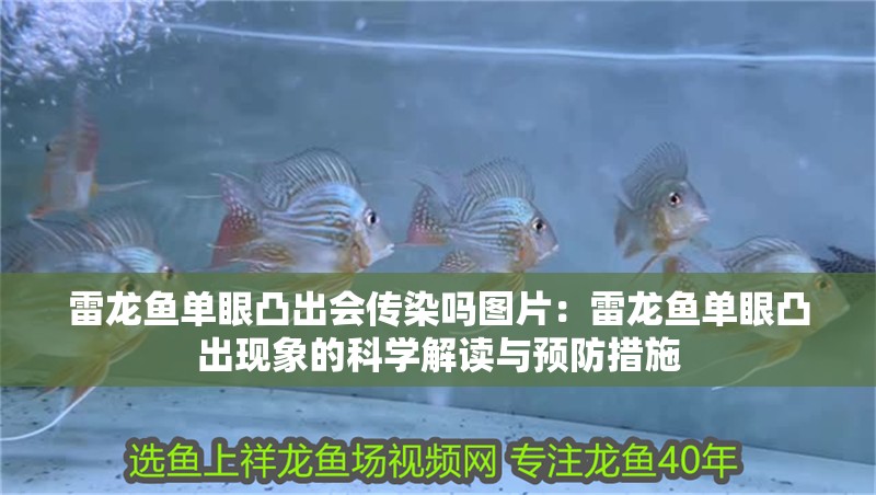 雷龍魚單眼凸出會傳染嗎圖片：雷龍魚單眼凸出現象的科學解讀與預防措施