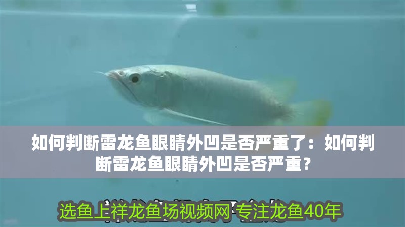 如何判斷雷龍魚眼睛外凹是否嚴(yán)重了：如何判斷雷龍魚眼睛外凹是否嚴(yán)重？
