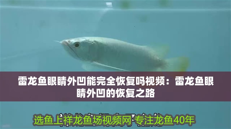 雷龍魚眼睛外凹能完全恢復嗎視頻：雷龍魚眼睛外凹的恢復之路