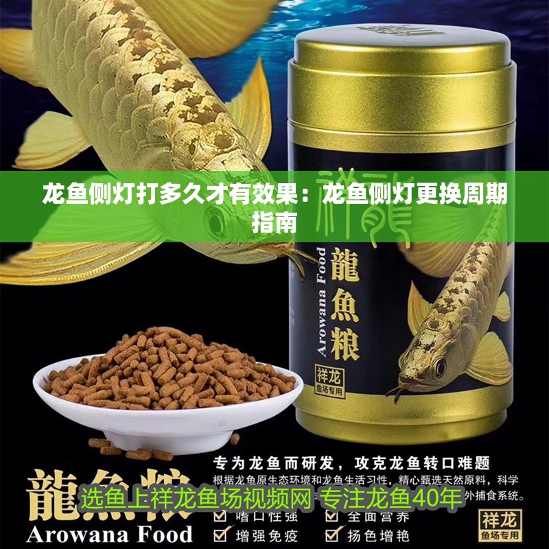 龍魚側燈打多久才有效果：龍魚側燈更換周期指南