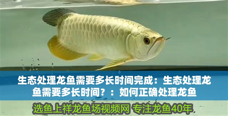 生態處理龍魚需要多長時間完成：生態處理龍魚需要多長時間？：如何正確處理龍魚