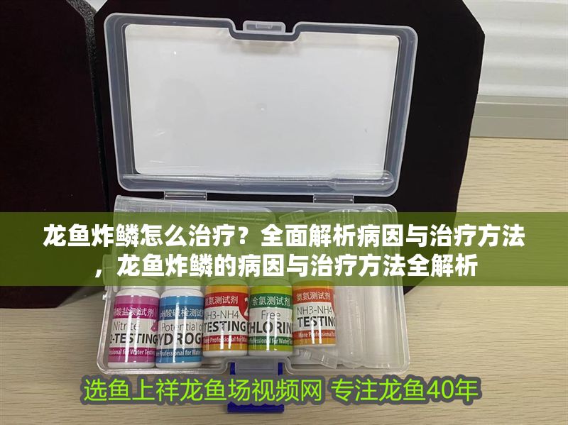 龍魚炸鱗怎么治療？全面解析病因與治療方法，龍魚炸鱗的病因與治療方法全解析 龍魚炸鱗怎么治療？全面解析病因與治療方法，龍魚炸鱗的病因與治療方法全解析 龍魚常見疾病 第2張