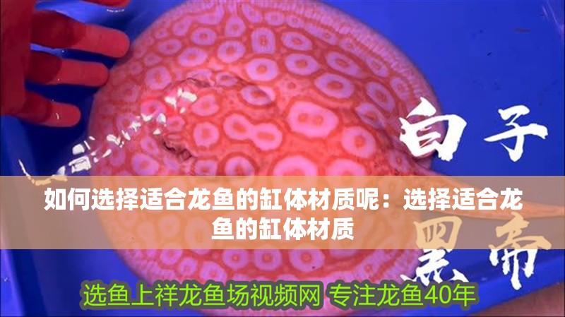 如何選擇適合龍魚的缸體材質呢：選擇適合龍魚的缸體材質