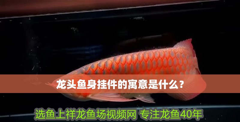 龍頭魚身掛件的寓意是什么？