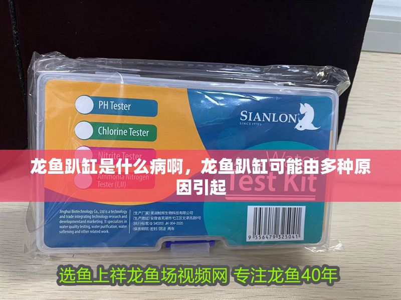 龍魚趴缸是什么病啊，龍魚趴缸可能由多種原因引起