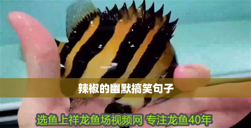 辣椒的幽默搞笑句子