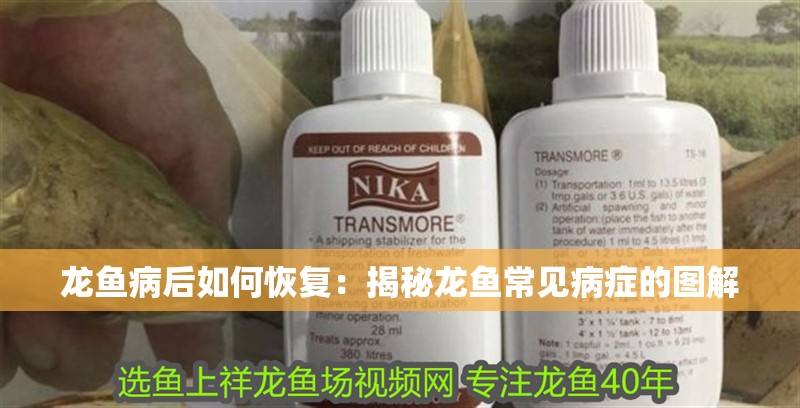 龍魚病后如何恢復：揭秘龍魚常見病癥的圖解 龍魚病后如何恢復：揭秘龍魚常見病癥的圖解 水族問答