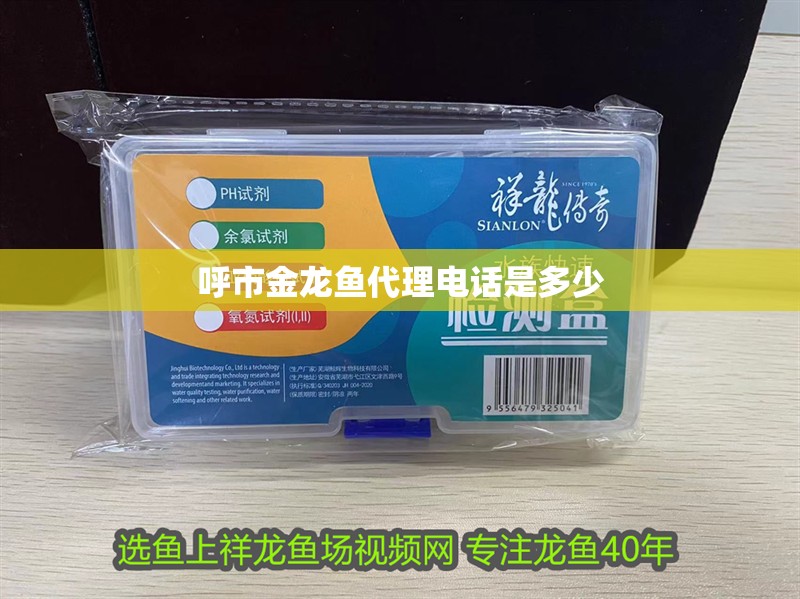 <strong><mark>呼市</mark></strong>金龍魚代理電話是多少