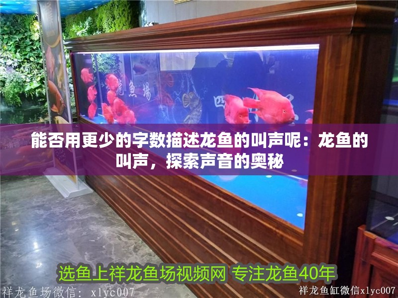 能否用更少的字數描述龍魚的叫聲呢：龍魚的叫聲，探索聲音的奧秘