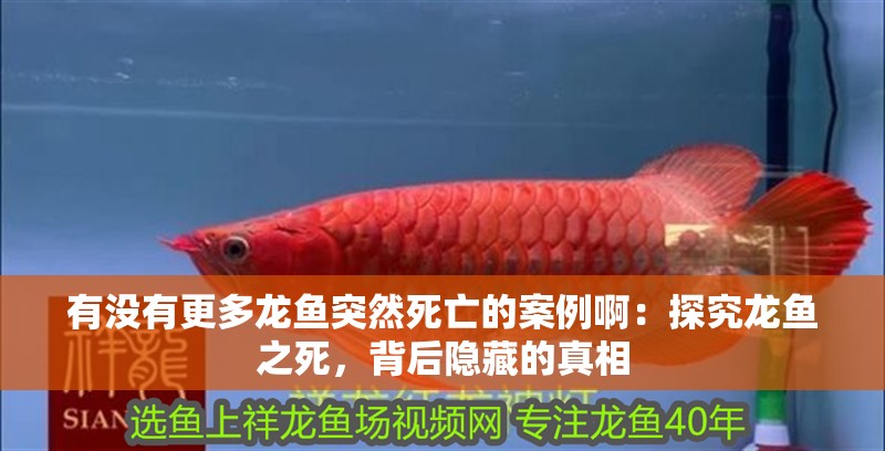 有沒有更多龍魚突然死亡的案例?。禾骄魁堲~之死，背后隱藏的真相