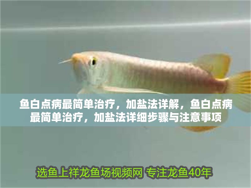 魚白點病最簡單治療，加鹽法詳解，魚白點病最簡單治療，加鹽法詳細步驟與注意事項
