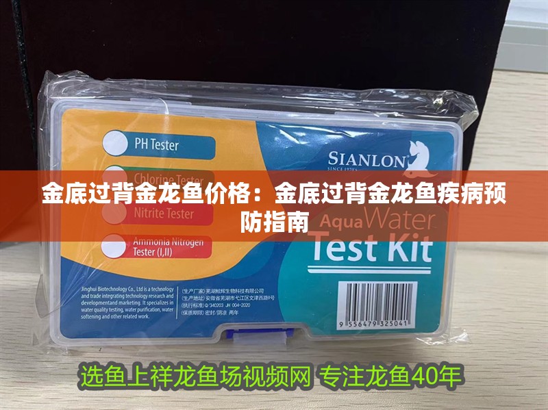 金底過背金龍魚價格：金底過背金龍魚疾病預(yù)防指南